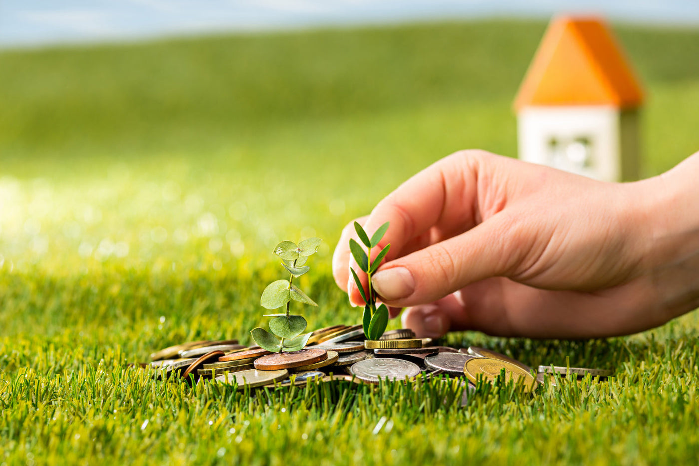 This image symbolizes financial growth and investment. It features a hand planting small green sprouts among scattered coins on a grassy surface, with a miniature house in the blurred background.